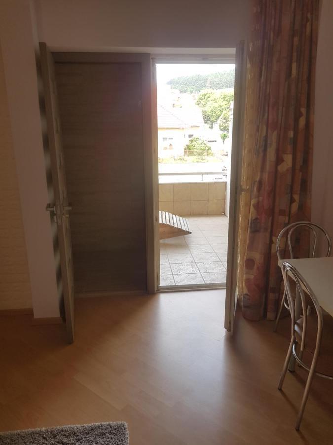 Lara Guest House Sfântu-Gheorghe Esterno foto