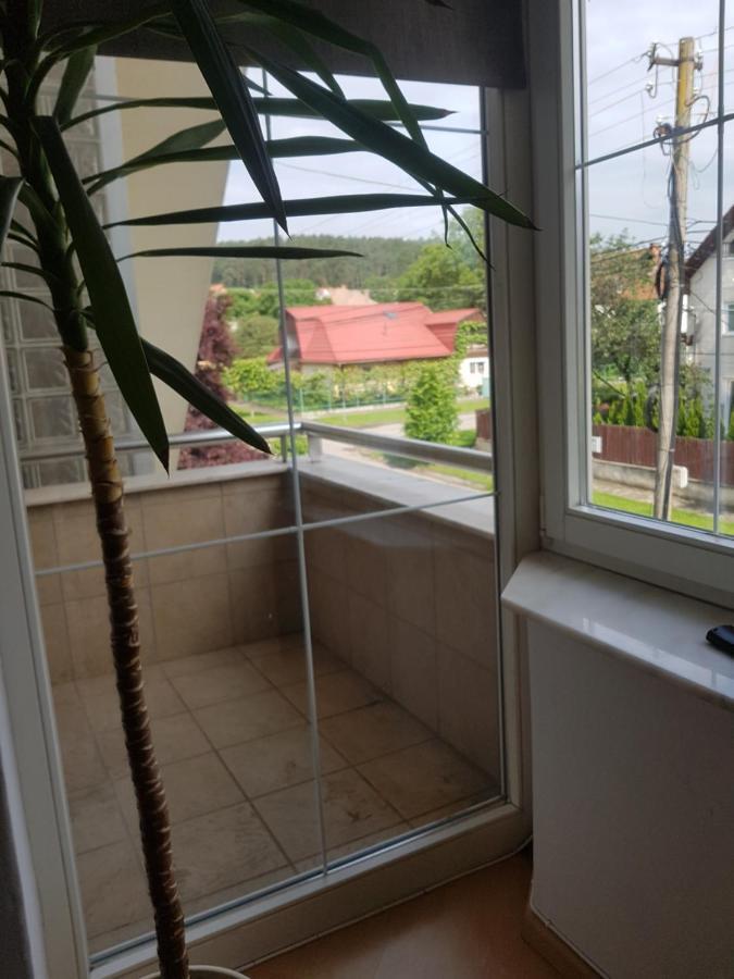 Lara Guest House Sfântu-Gheorghe Esterno foto